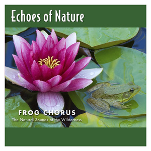 刘亦菲换脸性做爰A片
